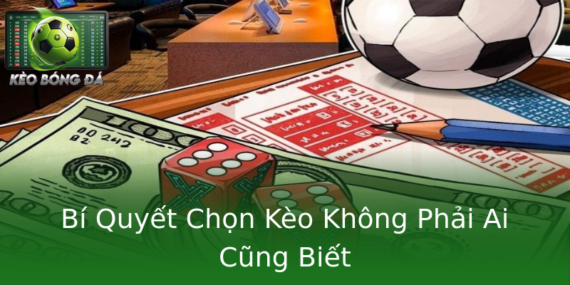 Bí Quyết Chọn Kèo Không Phải Ai Cũng Biết