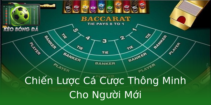 Chiến Lược Cá Cược Thông Minh Cho Người Mới