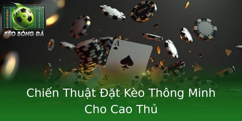 Chiến Thuật Đặt Kèo Thông Minh Cho Cao Thủ