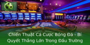 Chien Thuat Ca Cuoc Bong A Bi Quyet Thang Lon Trong Au Truong Thuc Te