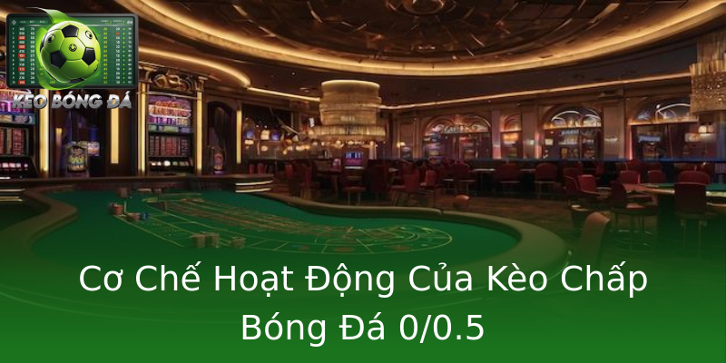 Cơ Chế Hoạt Động Của Kèo Chấp Bóng Đá 0/0.5