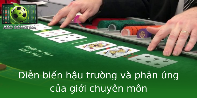 Diễn biến hậu trường và phản ứng của giới chuyên môn