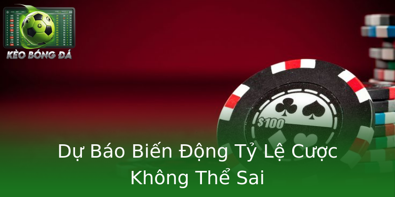 Dự Báo Biến Động Tỷ Lệ Cược Không Thể Sai