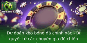 Du Oan Keo Bong A Chinh Xac Bi Quyet Tu Cac Chuyen Gia E Chien Thang Toi A