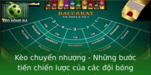 Keo Chuyen Nhuong Nhung Buoc Tien Chien Luoc Cua Cac Oi Bong Chuyen Nghiep