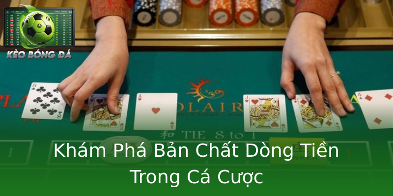 Khám Phá Bản Chất Dòng Tiền Trong Cá Cược
