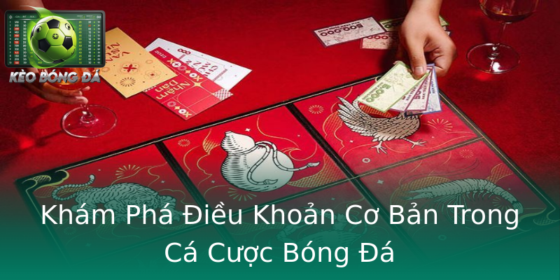 Khám Phá Điều Khoản Cơ Bản Trong Cá Cược Bóng Đá