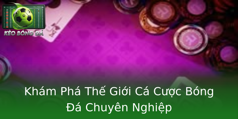 Khám Phá Thế Giới Cá Cược Bóng Đá Chuyên Nghiệp