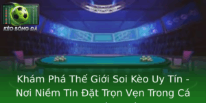Kham Pha The Gioi Soi Keo Uy Tin Noi Niem Tin At Tron Ven Trong Ca Cuoc Bong A