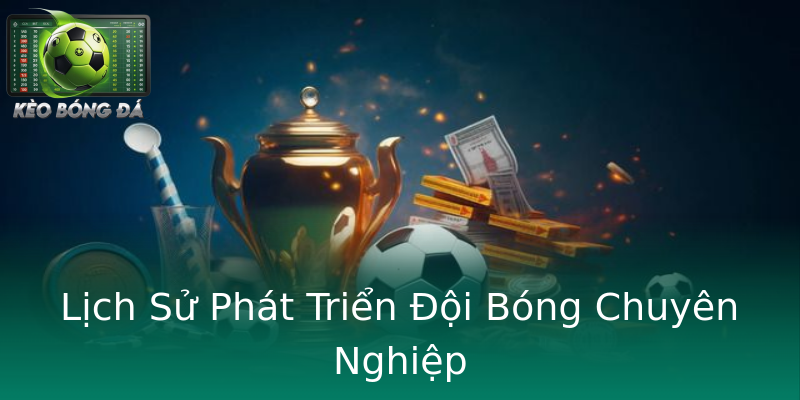 Lịch Sử Phát Triển Đội Bóng Chuyên Nghiệp