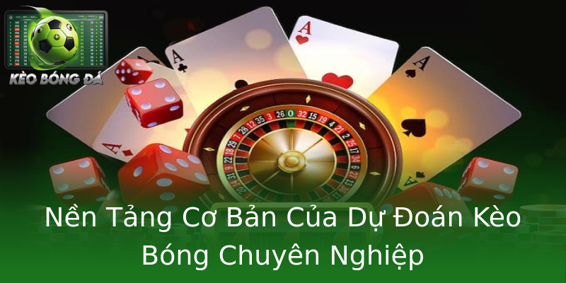 Nền Tảng Cơ Bản Của Dự Đoán Kèo Bóng Chuyên Nghiệp