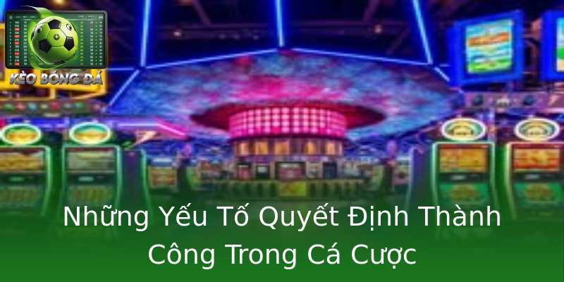 Những Yếu Tố Quyết Định Thành Công Trong Cá Cược