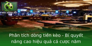 Phan Tich Dong Tien Keo Bi Quyet Nang Cao Hieu Qua Ca Cuoc Nam 2025