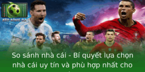 So Sanh Nha Cai Bi Quyet Lua Chon Nha Cai Uy Tin Va Phu Hop Nhat Cho Nguoi Choi