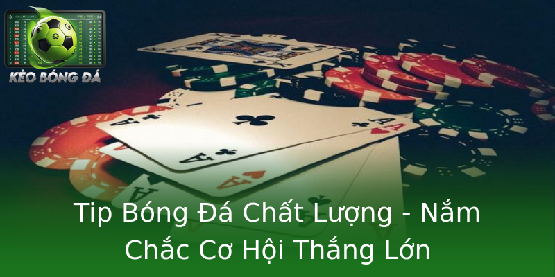 Tip Bóng Đá Chất Lượng - Nắm Chắc Cơ Hội Thắng Lớn