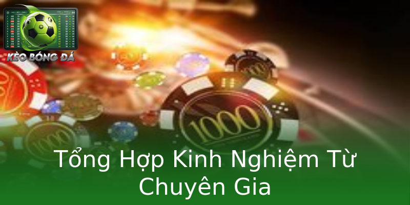 Tổng Hợp Kinh Nghiệm Từ Chuyên Gia