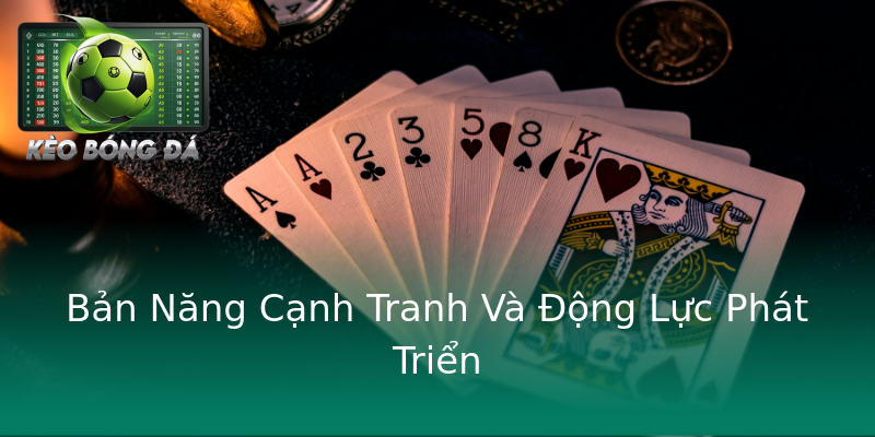 Bản Năng Cạnh Tranh Và Động Lực Phát Triển