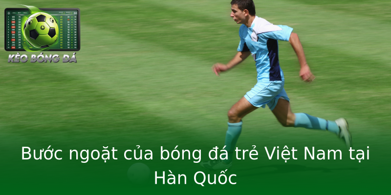 Bước ngoặt của bóng đá trẻ Việt Nam tại Hàn Quốc