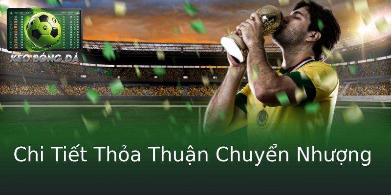 Chi Tiết Thỏa Thuận Chuyển Nhượng