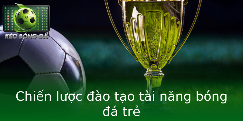 Chiến lược đào tạo tài năng bóng đá trẻ