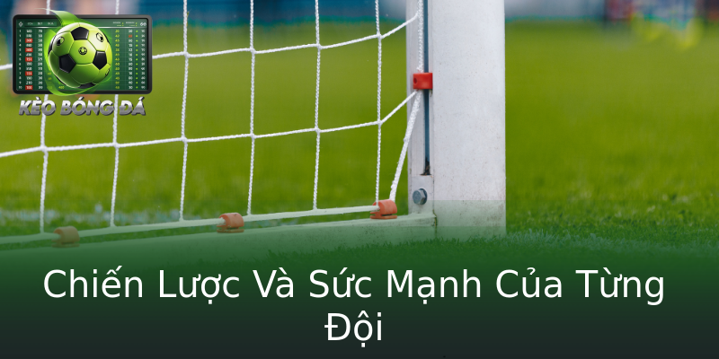 Chiến Lược Và Sức Mạnh Của Từng Đội