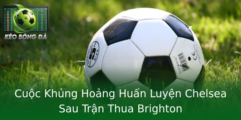 Cuộc Khủng Hoảng Huấn Luyện Chelsea Sau Trận Thua Brighton