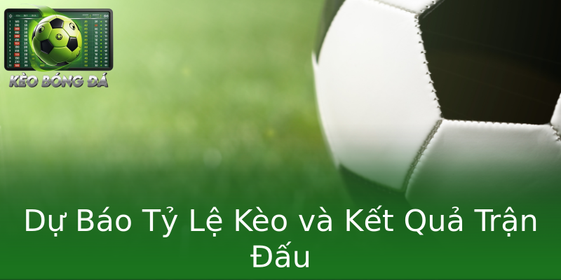 Dự Báo Tỷ Lệ Kèo và Kết Quả Trận Đấu