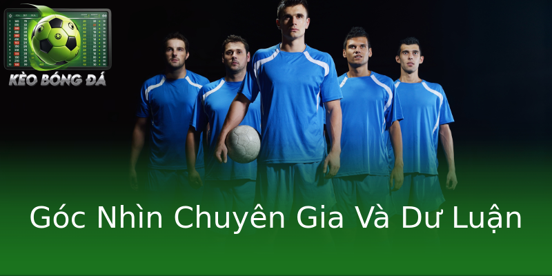 Góc Nhìn Chuyên Gia Và Dư Luận