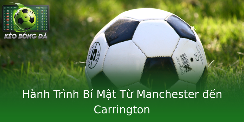 Hành Trình Bí Mật Từ Manchester đến Carrington