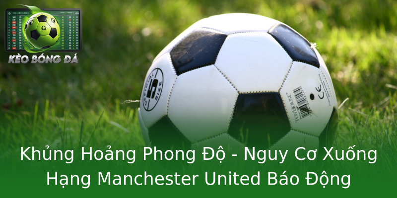Khủng Hoảng Phong Độ - Nguy Cơ Xuống Hạng Manchester United Báo Động
