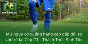 Mu Nguy Co Xuong Hang Cao Gap Oi So Voi Tro Lai Cup C1 Thach Thuc Sinh Ton Cua Quy O Trong Thoi Ky K