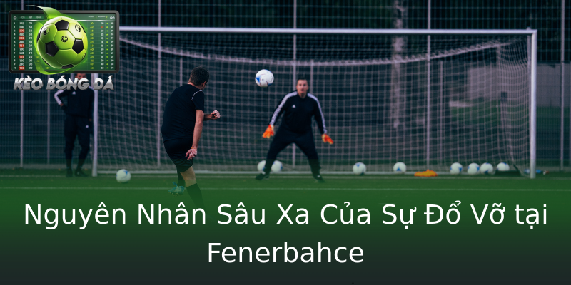 Nguyên Nhân Sâu Xa Của Sự Đổ Vỡ tại Fenerbahce