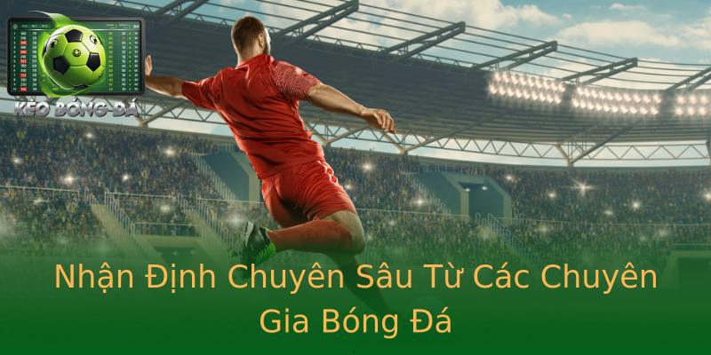 Nhận Định Chuyên Sâu Từ Các Chuyên Gia Bóng Đá