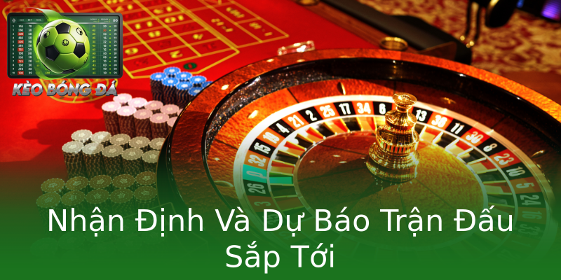 Nhận Định Và Dự Báo Trận Đấu Sắp Tới