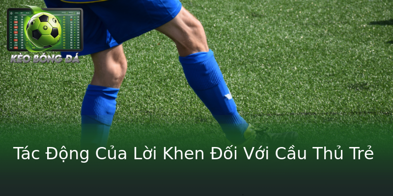 Tác Động Của Lời Khen Đối Với Cầu Thủ Trẻ