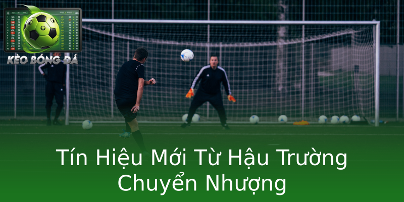 Tín Hiệu Mới Từ Hậu Trường Chuyển Nhượng