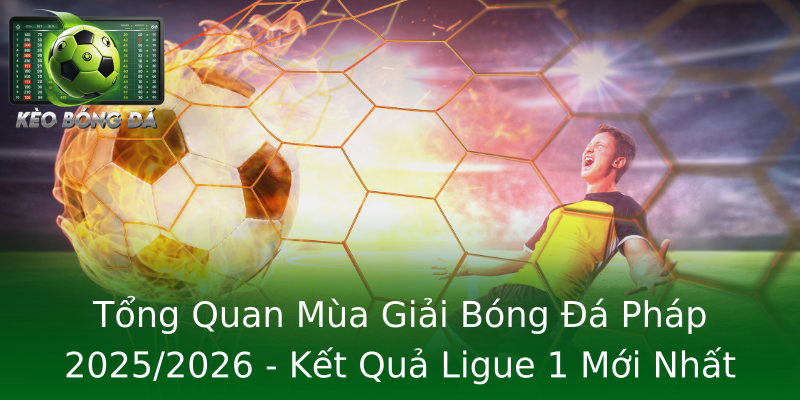 Tổng Quan Mùa Giải Bóng Đá Pháp 2025/2026 - Kết Quả Ligue 1 Mới Nhất