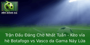 Tran Au Ang Cho Nhat Tuan Keo Via He Botafogo Vs Vasco Da Gama Nay Lua Tren San Co Brasil Serie A