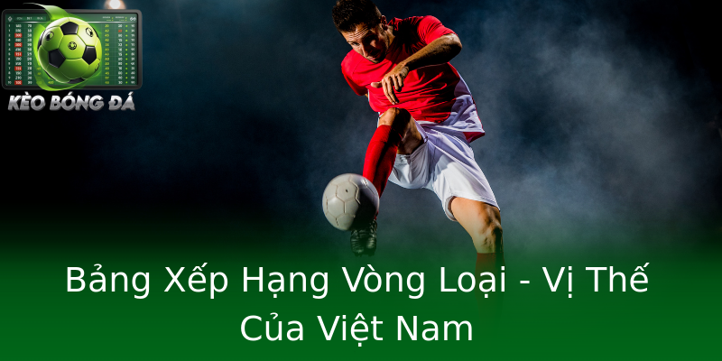 Bảng Xếp Hạng Vòng Loại - Vị Thế Của Việt Nam