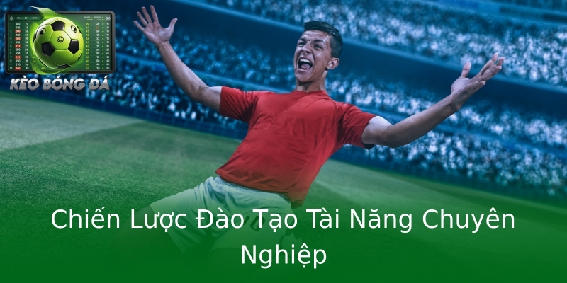 Chiến Lược Đào Tạo Tài Năng Chuyên Nghiệp