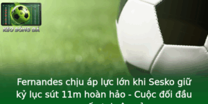 Fernandes Chiu Ap Luc Lon Khi Sesko Giu Ky Luc Sut 11M Hoan Hao Cuoc Oi Au Gay Can Tai San Co