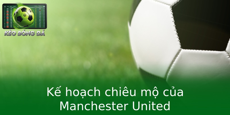 Kế hoạch chiêu mộ của Manchester United
