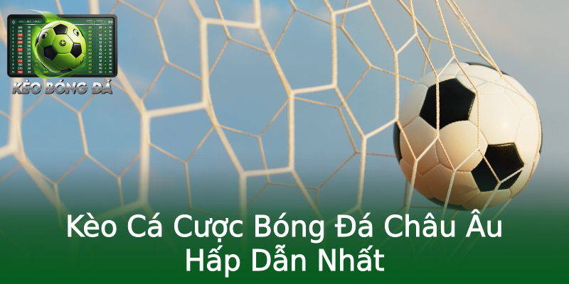 Kèo Cá Cược Bóng Đá Châu Âu Hấp Dẫn Nhất