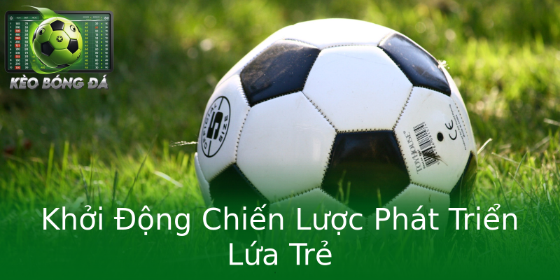Khởi Động Chiến Lược Phát Triển Lứa Trẻ