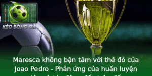 Maresca Khong Ban Tam Voi The O Cua Joao Pedro Phan Ung Cua Huan Luyen Vien Va Tac Ong En Tran Au