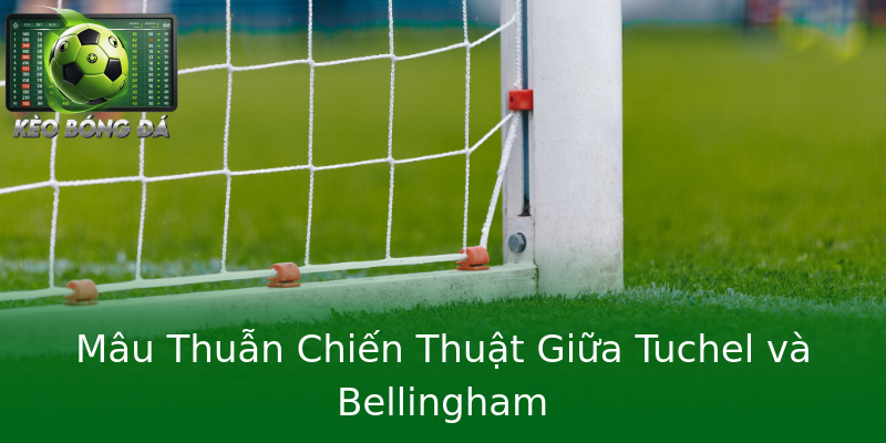 Mâu Thuẫn Chiến Thuật Giữa Tuchel và Bellingham