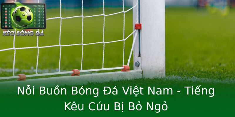 Nỗi Buồn Bóng Đá Việt Nam - Tiếng Kêu Cứu Bị Bỏ Ngỏ