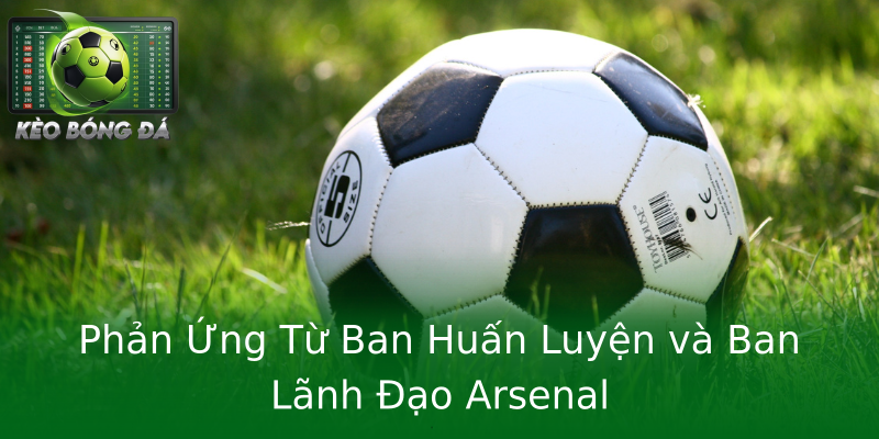 Phản Ứng Từ Ban Huấn Luyện và Ban Lãnh Đạo Arsenal