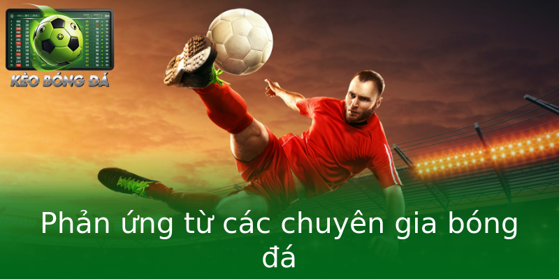 Phản ứng từ các chuyên gia bóng đá