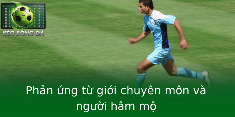 Phản ứng từ giới chuyên môn và người hâm mộ